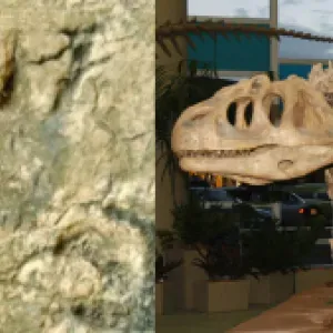 ¿Qué tan rápidos eran realmente los dinosaurios? Un estudio reveló que quizá fueron más lentos de lo que se pensaba