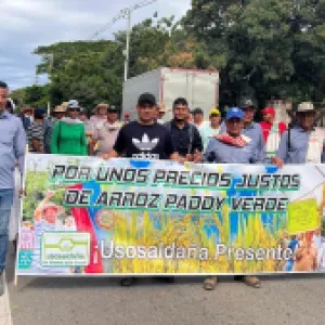 Los desafíos para brindar una solución de fondo a los arroceros