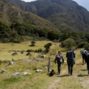 Se levantó paro campesino en Boyacá: las claves del acuerdo entre el Gobierno y los parameros