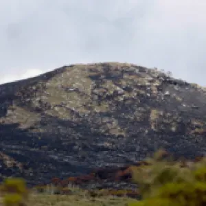 ¿Qué es la línea de páramo y por qué los campesinos parameros están protestando por ella en Boyacá?