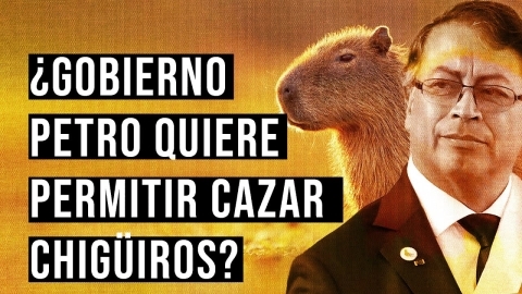Cambio Colombia